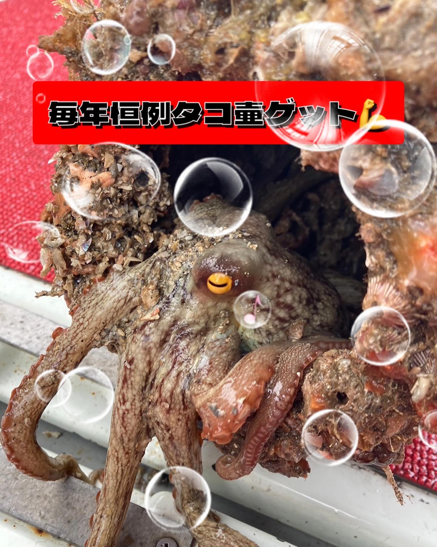 B37C71D7-5C20-43C3-BBBC-